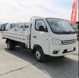Foton Mini Cargo Truck