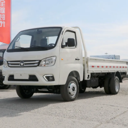 Foton Mini Cargo Truck full