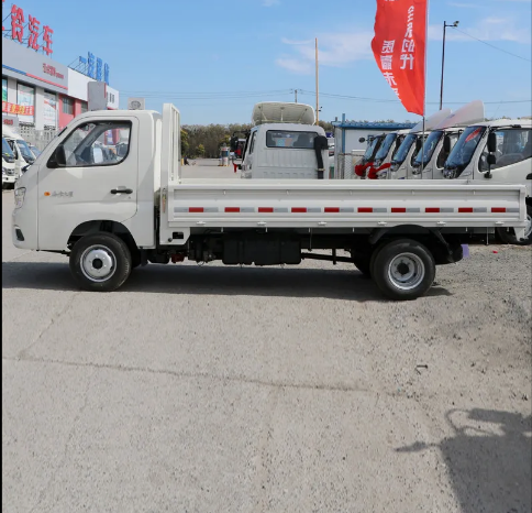 Foton Mini Cargo Truck full