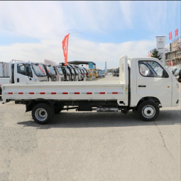 Foton Mini Cargo Truck full