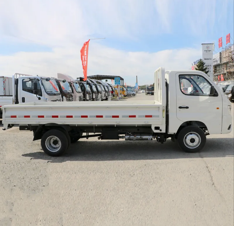 Foton Mini Cargo Truck full