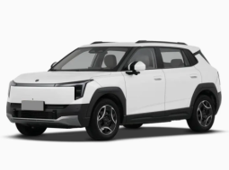 DONGFENG NAMMI 06