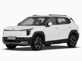 DONGFENG NAMMI 06