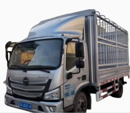 FOTON CARGO TRUCK