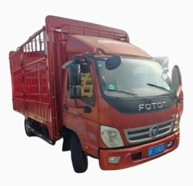 FOTON CARGO TRUCK
