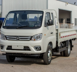 FOTON DUMP TRUCK full
