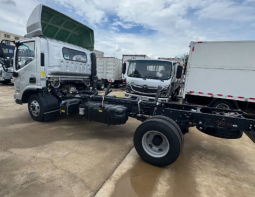 FOTON CARGO TRUCK full