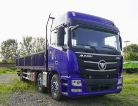 FOTON CARGO TRUCK